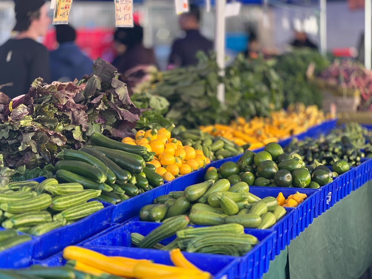 Colorful array of fresh vegetables in baskets at an outdoor farmers market.