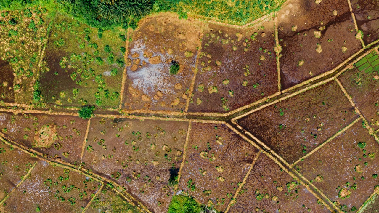 Top-down view of lush farmland with unique patterns and greenery