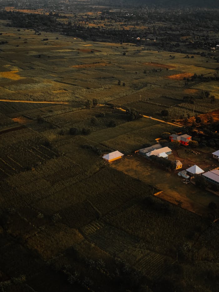 Aerial view of construction roofs among green plantations and trees on farmland in evening