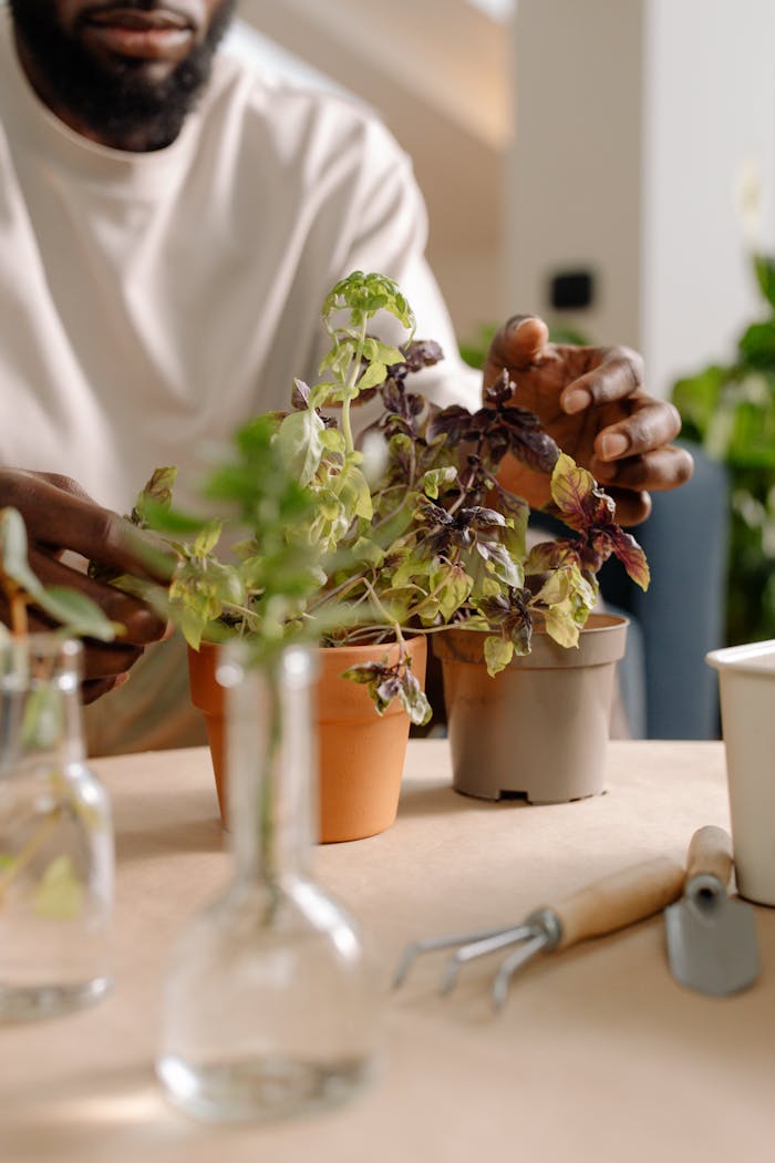 A close-up of a man caring for plants in flowerpots indoors.